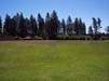 CommunityArea7